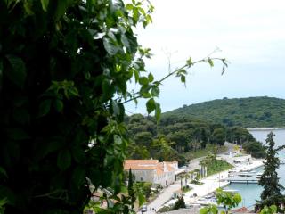 Apartments with parking space Maslinica, Solta - 5176 - 8