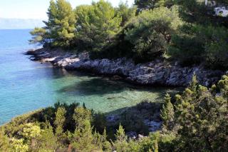 Apartments by the sea Jelsa, Hvar - 5723 - 2