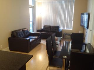 BEST LOCATION/SPECTACULAR VIEW 2 BEDROOMS FURNISHED CONDO S/L RENT - Mississauga - 5