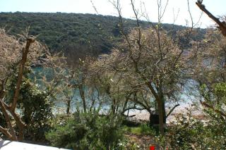 Seaside house for families with children Cove Rasohatica, Korcula - 4386 - Lumbarda - 3