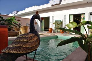 Parijat Private Pool Villa 1, 2 and 3 BHK - Udaipur - 2