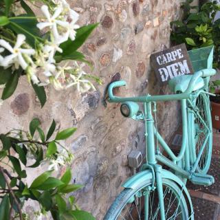 Bed & Breakfast Carpe Diem - Solferino - 5
