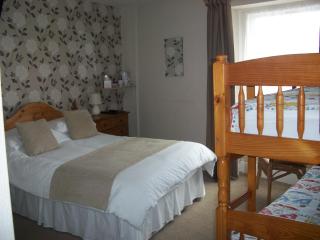 Glenthorne Guest House - Tenby - 4
