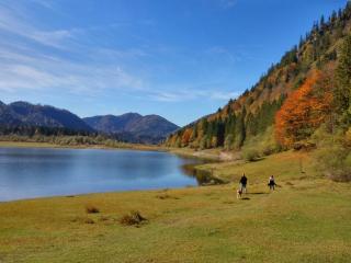 Speckhaus Ferienwohnungen - Ruhpolding - 4