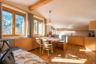 KENDLGUT Appartements am BioBauernhof inklusive unbegrenztem Eintritt in die Alpentherme - Bad Hofgastein - 3
