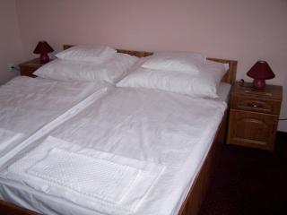 Györgyey Kastély Panzió és Étterem - 6