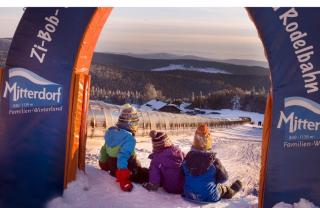 Apartman Šumava - Bavorský les - Mitterfirmiansreut - 9