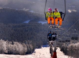 Apartman Šumava - Bavorský les - Mitterfirmiansreut - 0