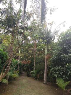 Pousada do Carlito - 6