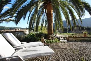 Holiday home Can Pontico - Pollença - 8