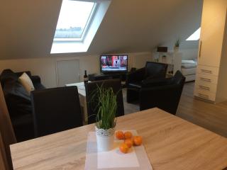 Haus Willi - kleine & schnuckelige Ferienwohnung in Ortenberg mit WLAN Balkon Parkplatz - neu & sauber & gemütlich - Ortenberg - 0