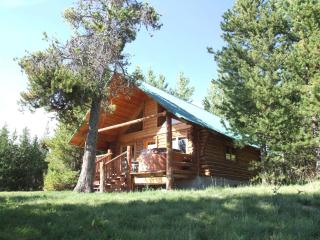 Eagle Ridge Ranch - Island Park - 9