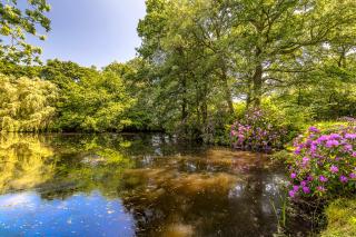 The Duck House - Cowden - 1