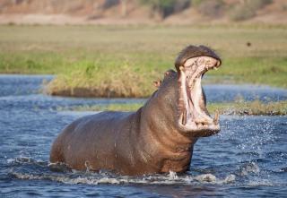 Kosi Bay Hippo Lodge & Resort - KuShengesa - 0