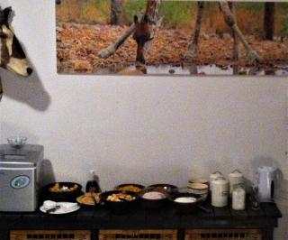 Normann Safari Bush Lodge - Phalaborwa - 5