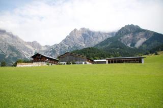 Auerbauer - Maria Alm am Steinernen Meer - 3