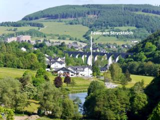 Komfort-Fewo am Stryckteich - Willingen - 8