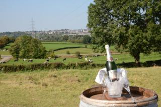 Les Coteaux du Vinave - 5