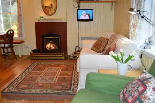 Glenbranter Cottage - 7
