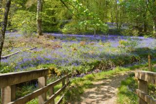 Glenbranter Cottage - Strachur - 9