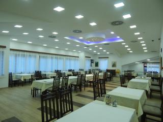 Hotel Kopaonik Lukovska Banja - 1