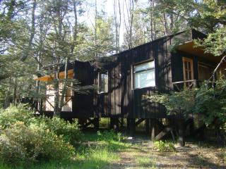 Lodge Punahue - Choshuenco - 1