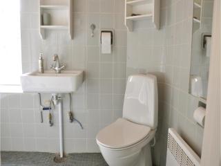 Pet Friendly Home In Otterup With Wifi - Otterup - 1