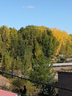 Apartamentos Hermanas Montolio - 1