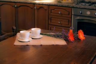 Guido's House - Castiglion Fiorentino - 6