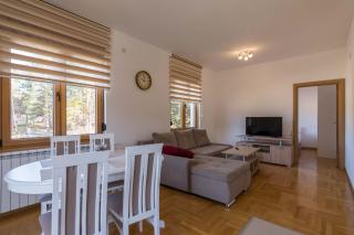 Apartman Veselinovic - Zlatibor - 4