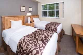 Snowbird by Bill - 0