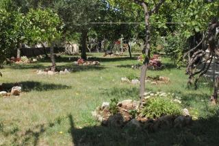 Apartments by the sea Sucuraj, Hvar - 3589 - 9