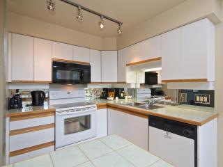 Snowbird by Bill - 8