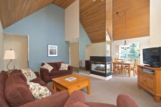 Snowbird by Bill - 2