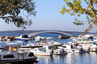 Apartments with parking space Valbandon, Fazana - 7305 - 4