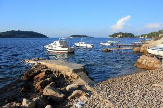 Apartments by the sea Vis - 13736 - 9