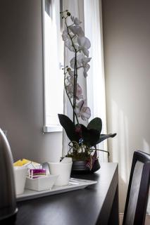 Zara Rooms & Suites - Suzzara - 6