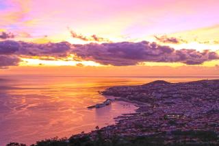 Designed Villa Palheiro Village by HR Madeira - Funchal - 5