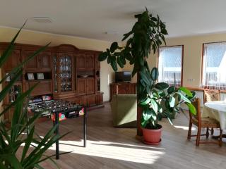 Die Oberlochmühle PENSION - Deutschneudorf - 2