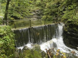 Knapphof - 9