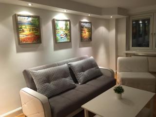 Murano Apartaments City Center - Warschau - 0