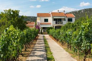 Apartments by the sea Vinisce, Trogir - 6015 - 6
