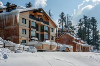 The Vintage Gulmarg - Gulmarg - 9