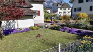 Ferienhaus Schils - 1