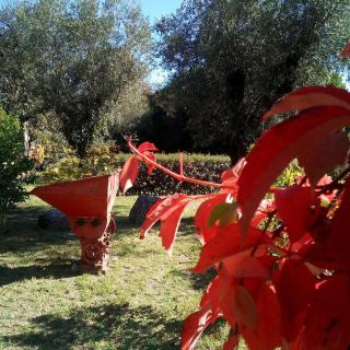 Casas Do Zagão - Turismo Rural - 6