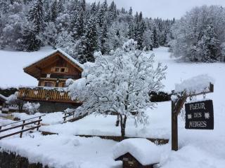 Chalet Fleur des Neiges - 8