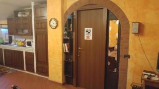 River House - Fiumicino - 2
