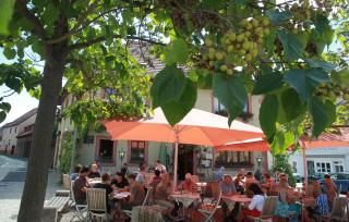 Weinhotel Rose - Volkach - 8