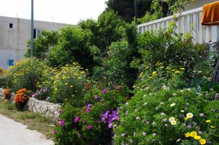 Apartments and rooms by the sea Cove Saplunara, Mljet - 4907 - 5