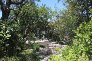Apartments by the sea Cavtat, Dubrovnik - 8826 - 5